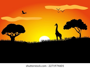 Giraffe in the savanna at sunset