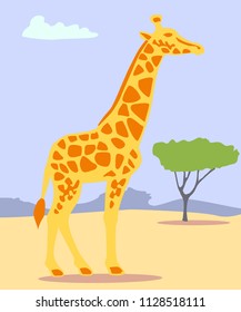 Giraffe in the Savannah