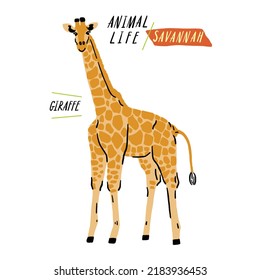 Giraffe Savannah Animal Life Hand drawn Cartoon color illustration