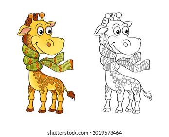 Giraffe with scarf. Color and black white vector illustration for coloring book