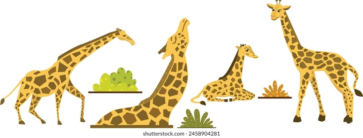 giraffe set, giraffe in different poses vector isolated, grass shrub design element.