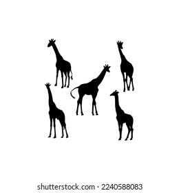 Giraffe set silhouette icon logo