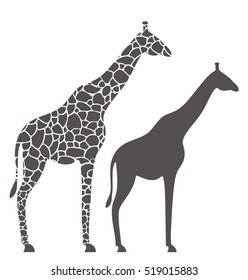 Giraffe Set Vector Illustration Stock Vector (Royalty Free) 519015883 ...