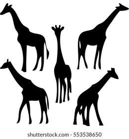 Giraffe sets