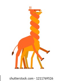 Giraffe sex. Love Giraffes intercourse. Animal reproduction. Africa beast Long neck 