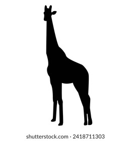 giraffe shadow on white background