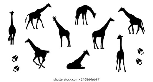 giraffe. a shadow. the silhouette of a giraffe. The color is black. animal. long. spot. giraffe tracks. vector. on a white background.