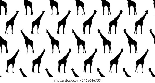 giraffe. a shadow. the silhouette of a giraffe. The color is black. animal. long. spot. giraffe tracks. vector. on a white background.
