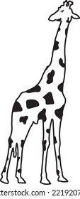 giraffe side profile view vector - Animal of Africa vector. Vector silhouette giraffe, black and white graphic template.