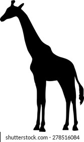 Giraffe silhouette