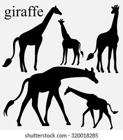 giraffe silhouette