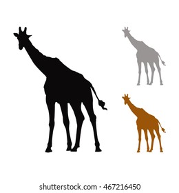 Giraffe Silhouette