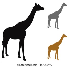 Giraffe Silhouette