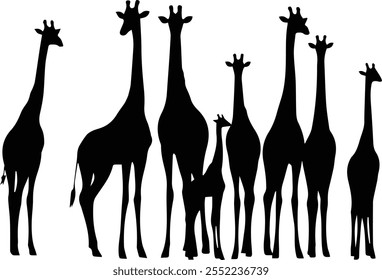 Giraffe, giraffe silhouette, animal vector illustration - Animal silhouette on the savannah. African landscape scene