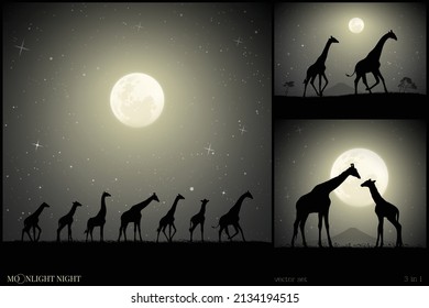 Giraffe silhouette. Animals family on moonlight night. Black white set