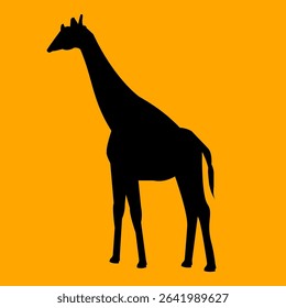 Giraffe silhouette. Black, animal, long neck, orange background, vector