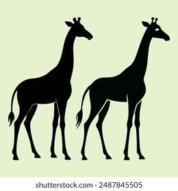 Giraffe silhouette. Giraffe black icon on white background. vector illustrations. Group of many giraffe in different poses. Giraffe line Art Vector illustration.