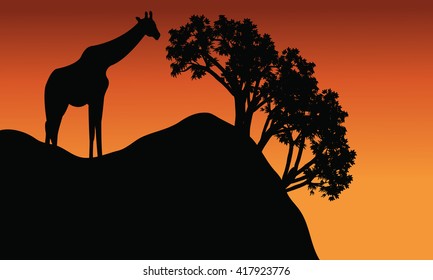 Giraffe silhouette in cliff scenery at the afternoon