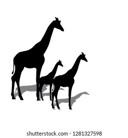 Giraffe silhouette collection