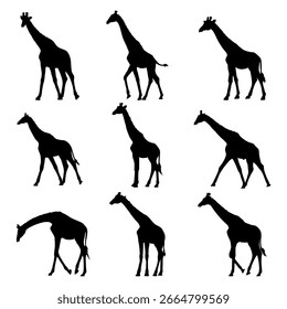 giraffe silhouette design collection set