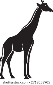 Girafa Silhueta Ícone Vetor Vida Selvagem Africana Mamífero Pescoço Alto Safári Animal Pescoço Longo Espécies Natureza Fauna Símbolo Símbolo Símbolo Zoologia Ilustração