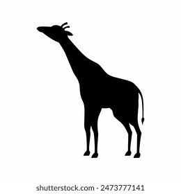 Giraffe silhouette icon for wildlife, savanna or safari