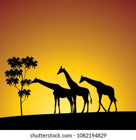 giraffe silhouette illustration