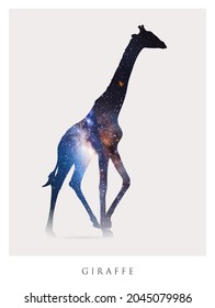 Giraffe silhouette. Isolated abstract animal outline. Night starry sky