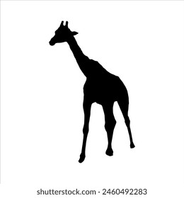 Giraffe silhouette isolated on white background. Giraffe icon vector illustration design.