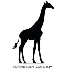 giraffe silhouette isolated on white background