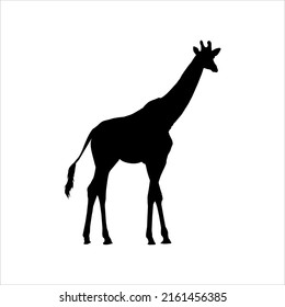 Giraffe Silhouette for Logo or Graphic Design Element. Vector Illustration