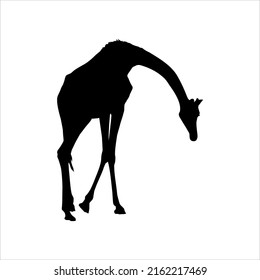 Giraffe Silhouette for Logo or Graphic Design Element. Vector Illustration