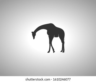 Giraffe Silhouette on White Background. Isolated Vector Animal Template for Logo Company, Icon, Symbol etc