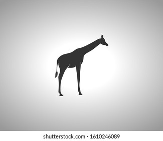 Giraffe Silhouette on White Background. Isolated Vector Animal Template for Logo Company, Icon, Symbol etc