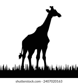 giraffe silhouette on white background