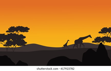 Giraffe silhouette in park scenery at the afternoon