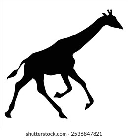 Giraffe silhouette running. Giraffe run black icon on white background. Perfect for Logo, Design, and More.
