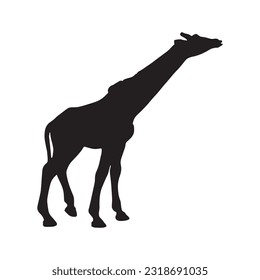 giraffe silhouette set collection isolated black on white background vector illustration