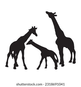 giraffe silhouette set collection isolated black on white background vector illustration