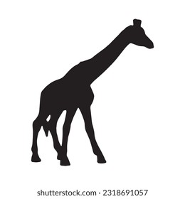 giraffe silhouette set collection isolated black on white background vector illustration