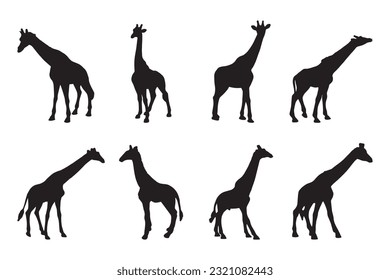 giraffe silhouette set collection isolated black on white background vector illustration