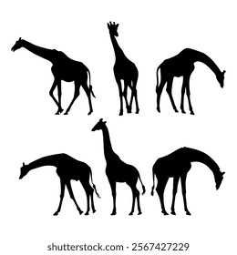 Giraffe silhouette set on white background.