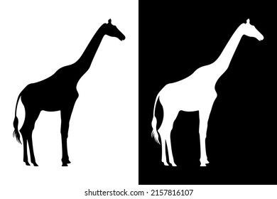 Giraffe-Silhouettenseitenansicht einzeln auf schwarz-weißem Hintergrund