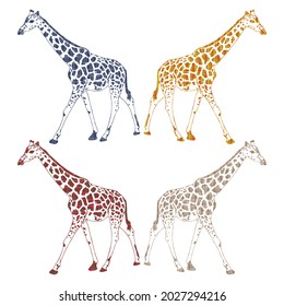 Giraffe Silhouette With Textile Pattern. Giraffe Vector Illustration Isolated On A White Background
