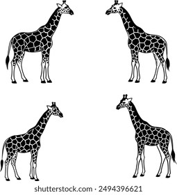 giraffe silhouette vector art illustration
