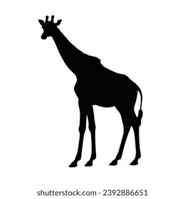 Giraffe Silhouette. Giraffe Vector Illustration.