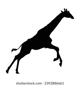 Giraffe Silhouette. Ilustración del vector de jirafa.