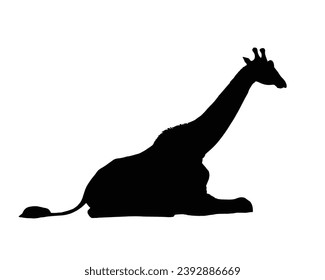 Giraffe Silhouette. Ilustración del vector de jirafa.