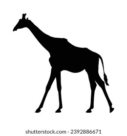 Giraffe Silhouette. Ilustración del vector de jirafa.