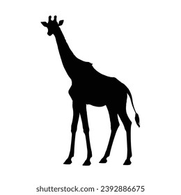 Giraffe Silhouette. Giraffe Vector Illustration.